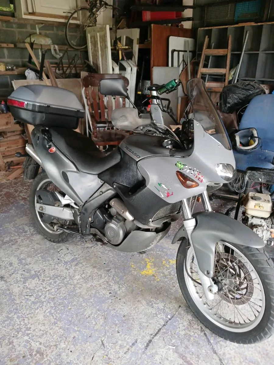 Pegaso aprilla - Image 1