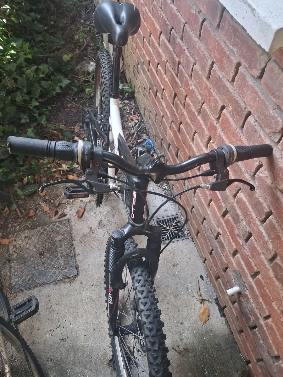 Ladies/GirlsBike+2MountainBikes+VintageBike - Image 3