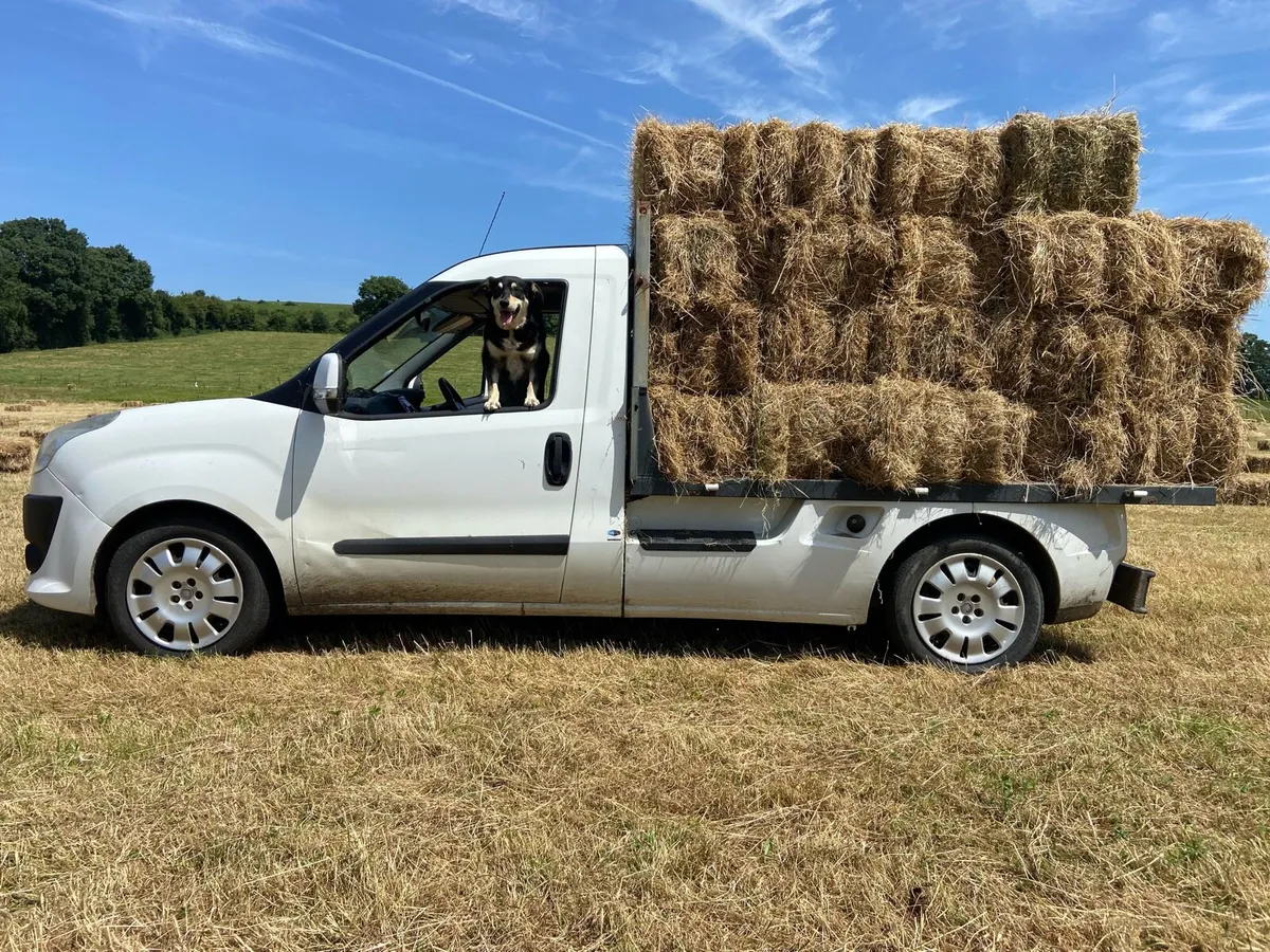 Top Quality Small Square Bales of Hay (pick up) - Image 1