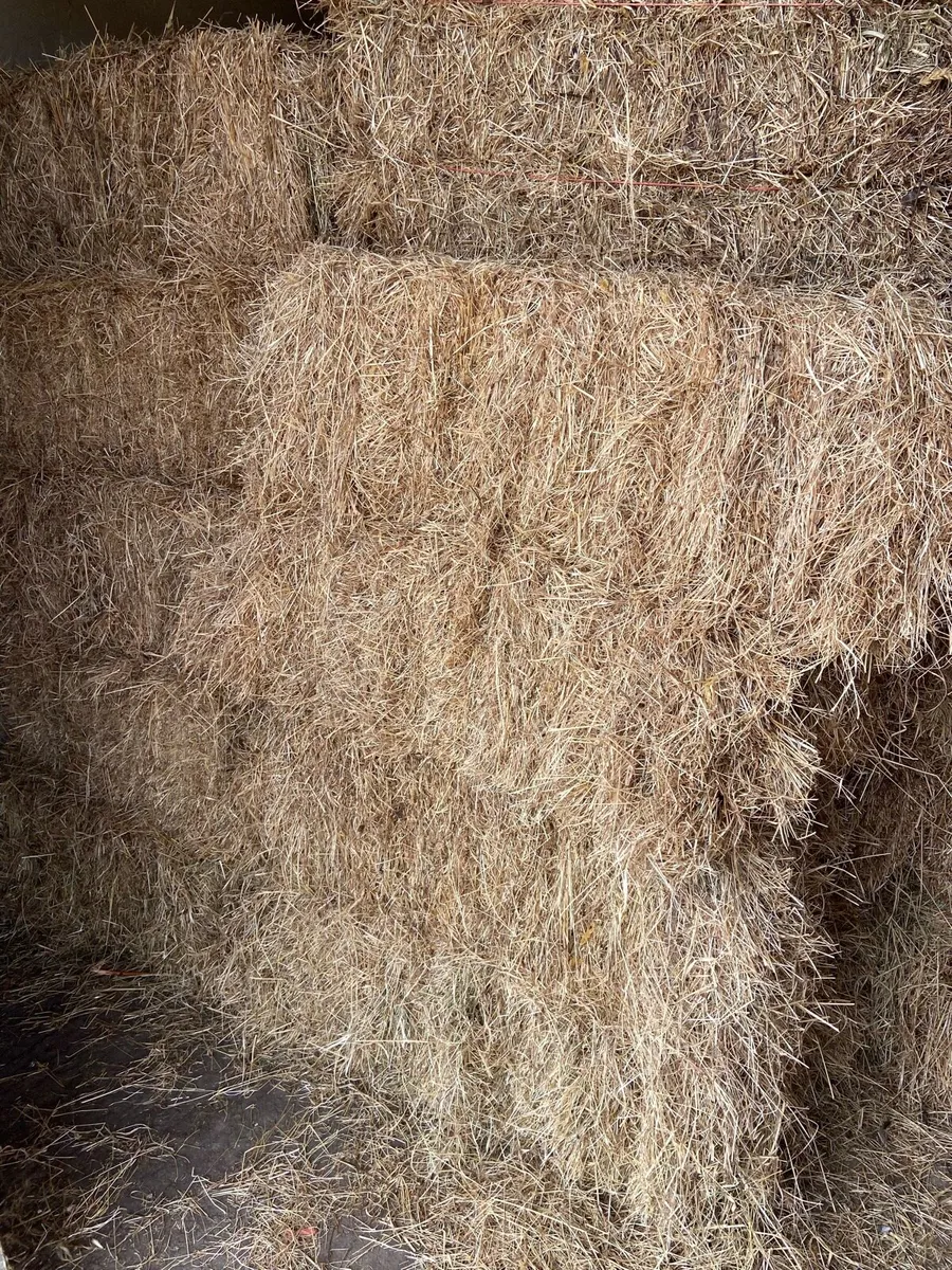 Top Quality Small Square Bales of Hay (pick up) - Image 2