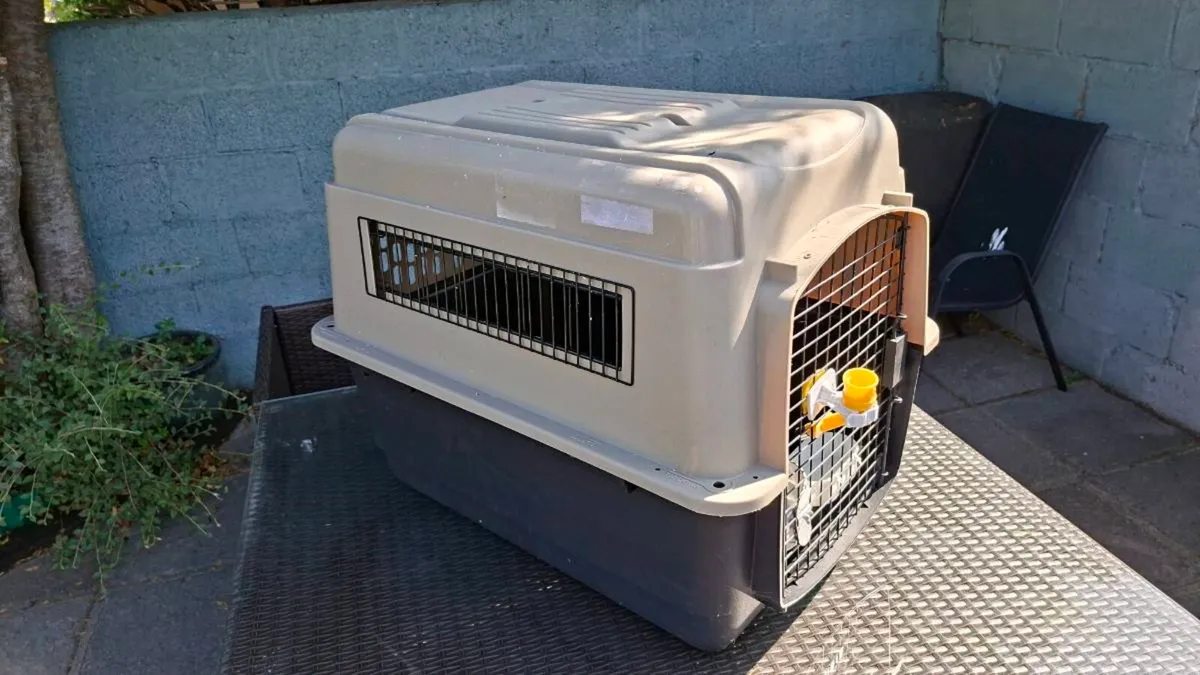 Dog Box Cage transporter - Image 2