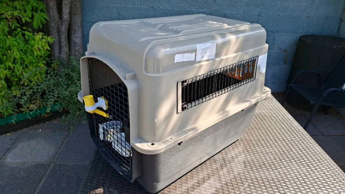 Dog Box Cage transporter - Image 1