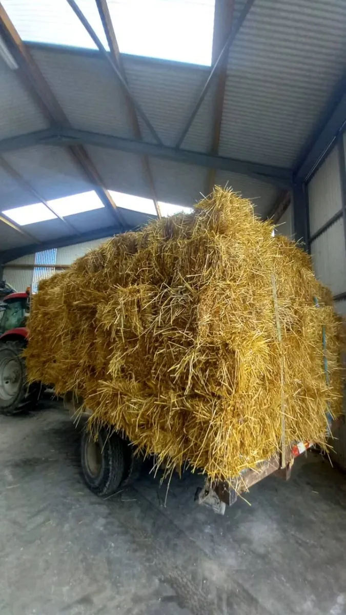 Organic Straw Small Squares - Image 1