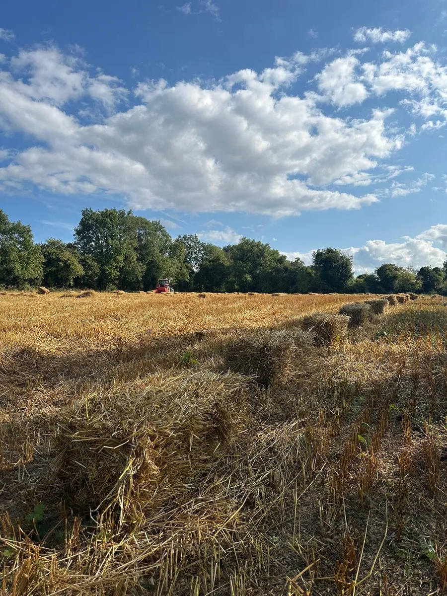 Organic Straw Small Squares - Image 2