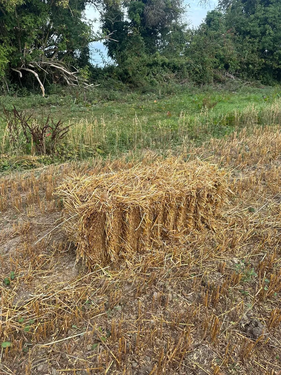 Organic Straw Small Squares - Image 3