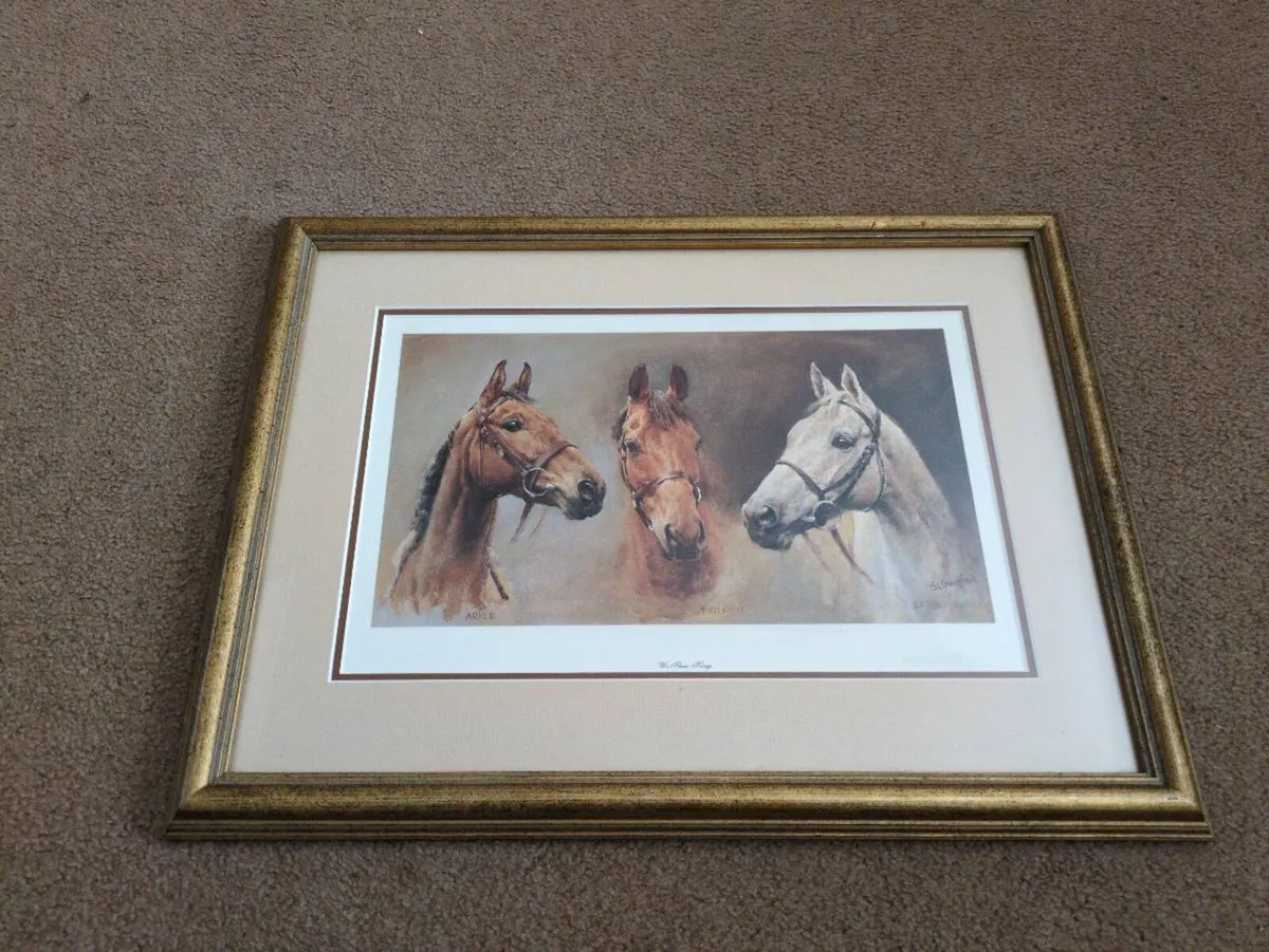 Quality framed Equestrian Art print - Image 1