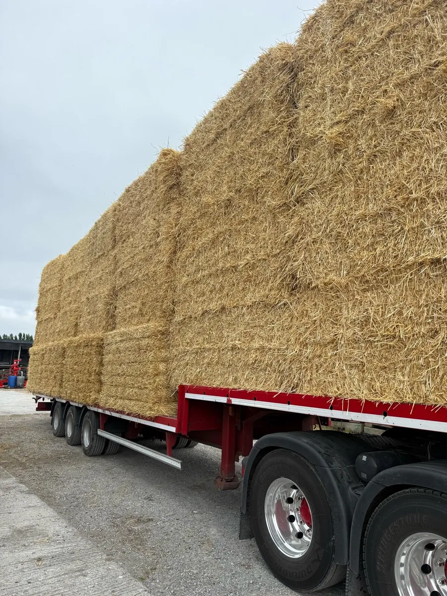 Bales to spare on load Sligo - Image 1