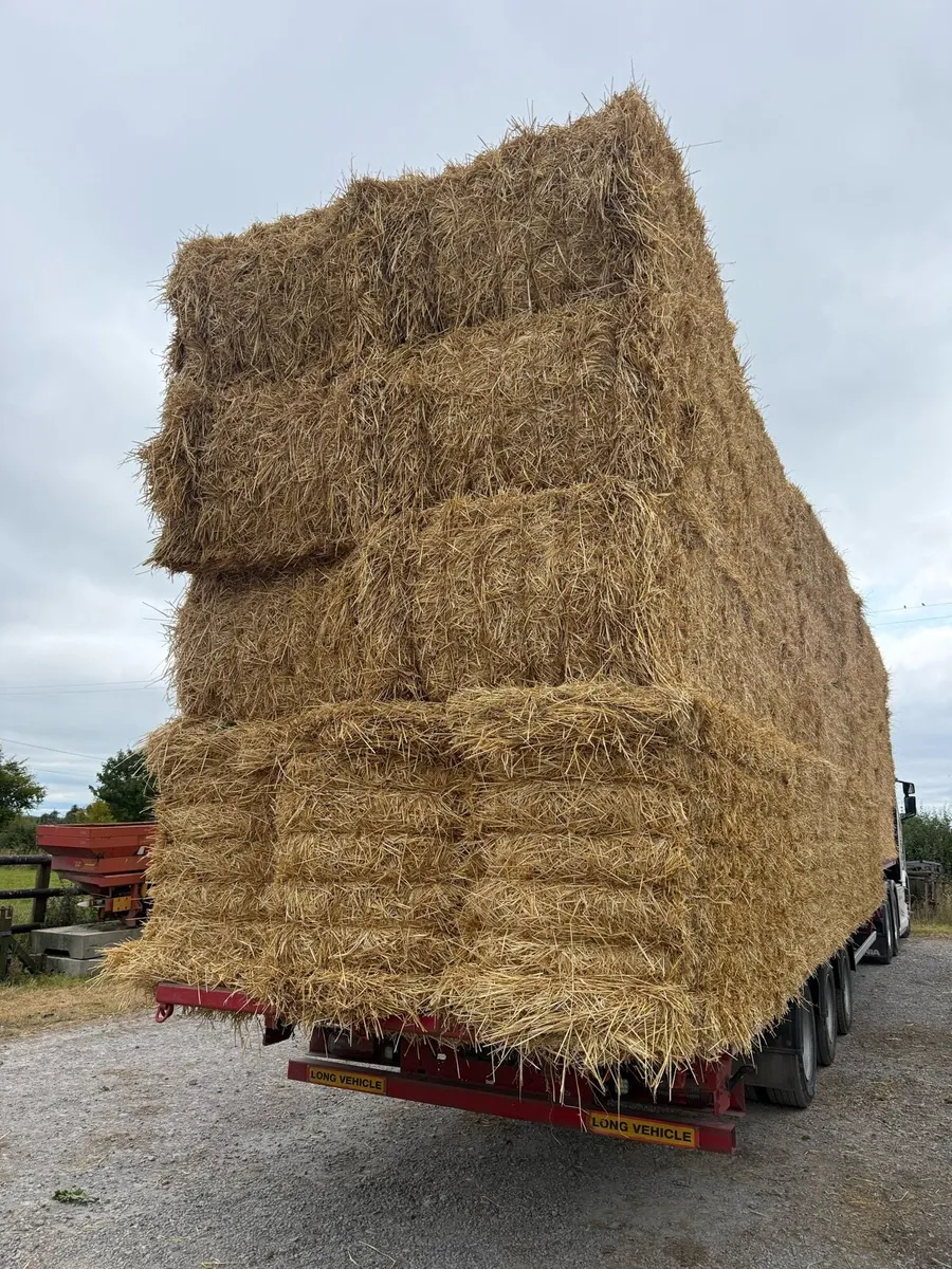 Bales to spare on load Sligo - Image 2