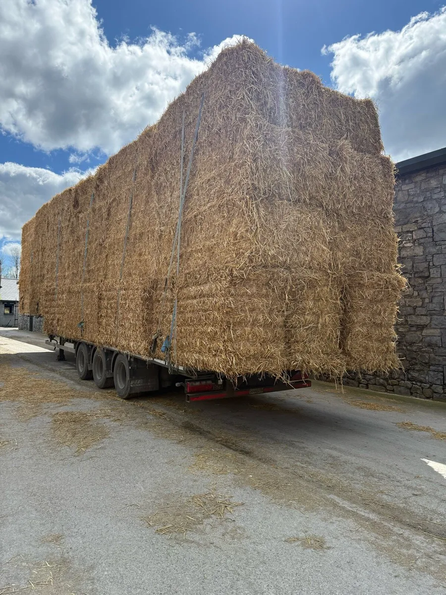 Bales to spare on load Sligo - Image 3