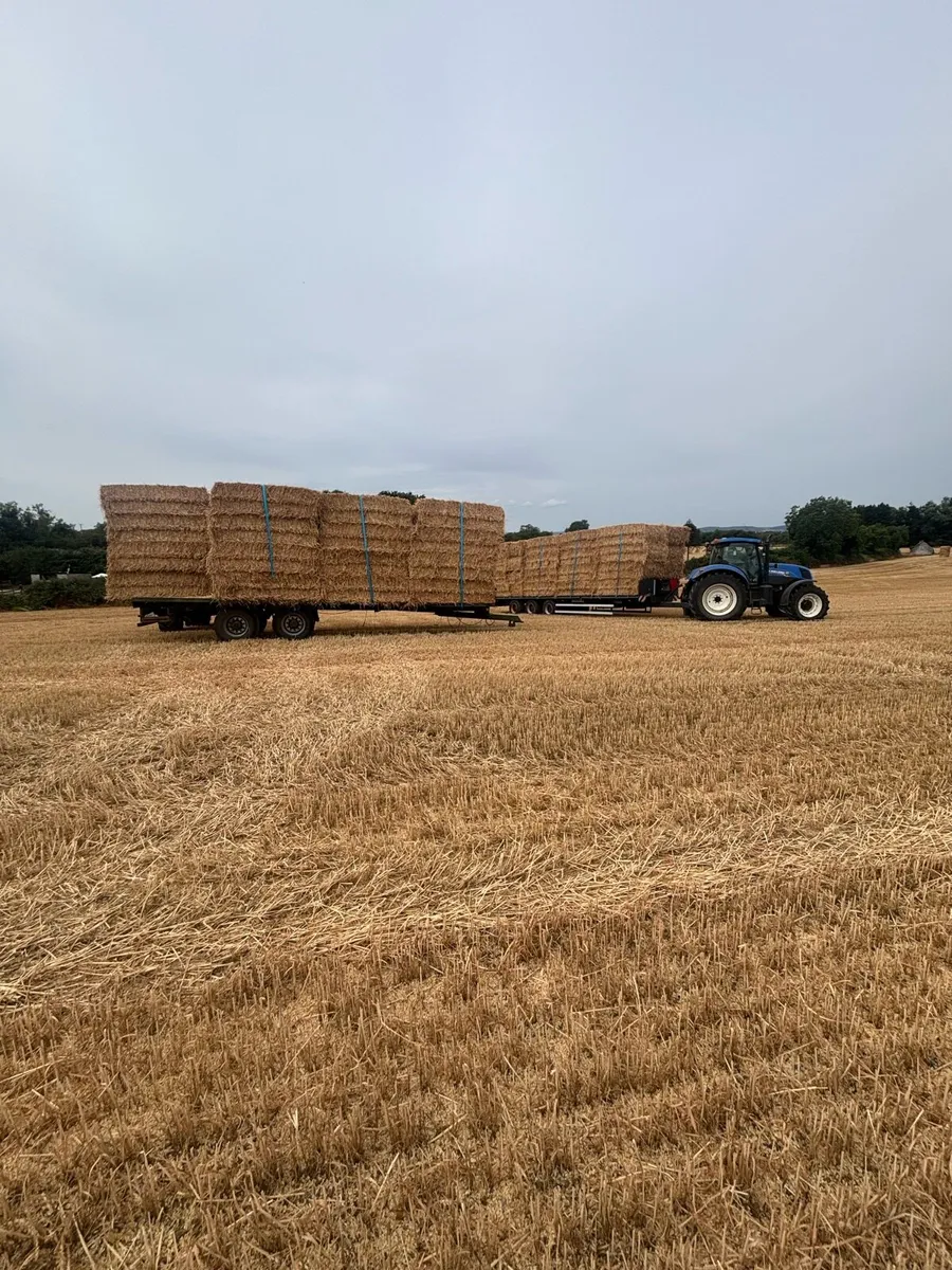 Straw - Image 2