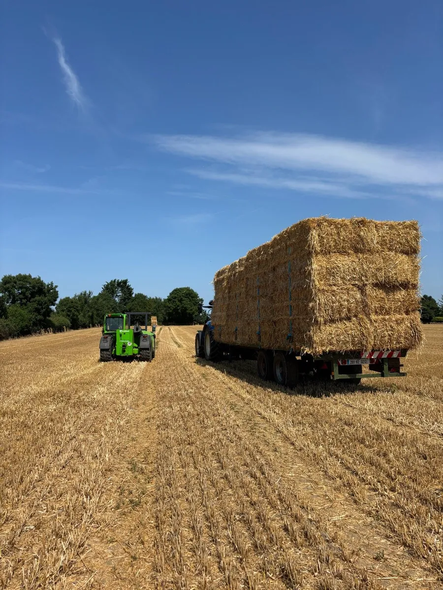 Straw - Image 3