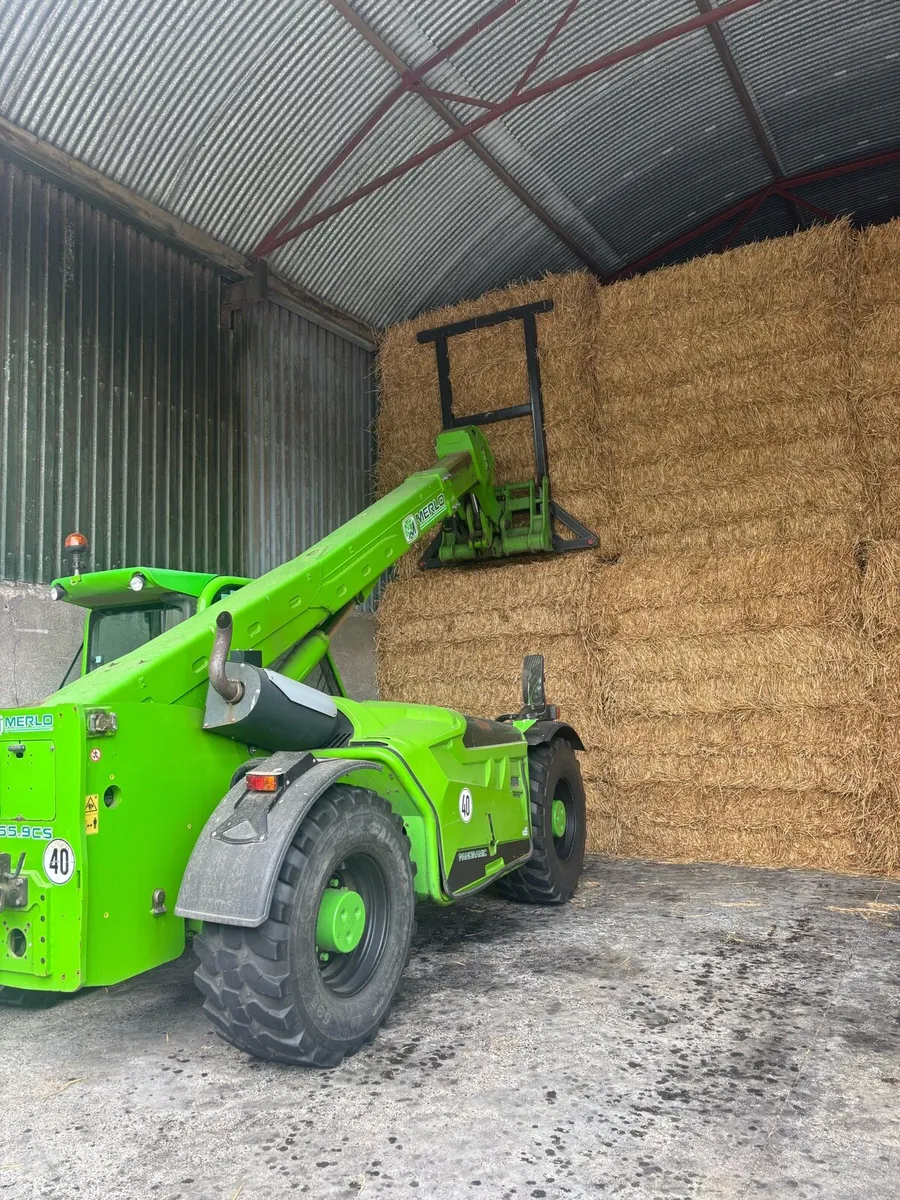 Straw - Image 1