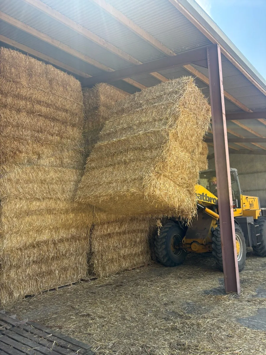 Straw - Image 4