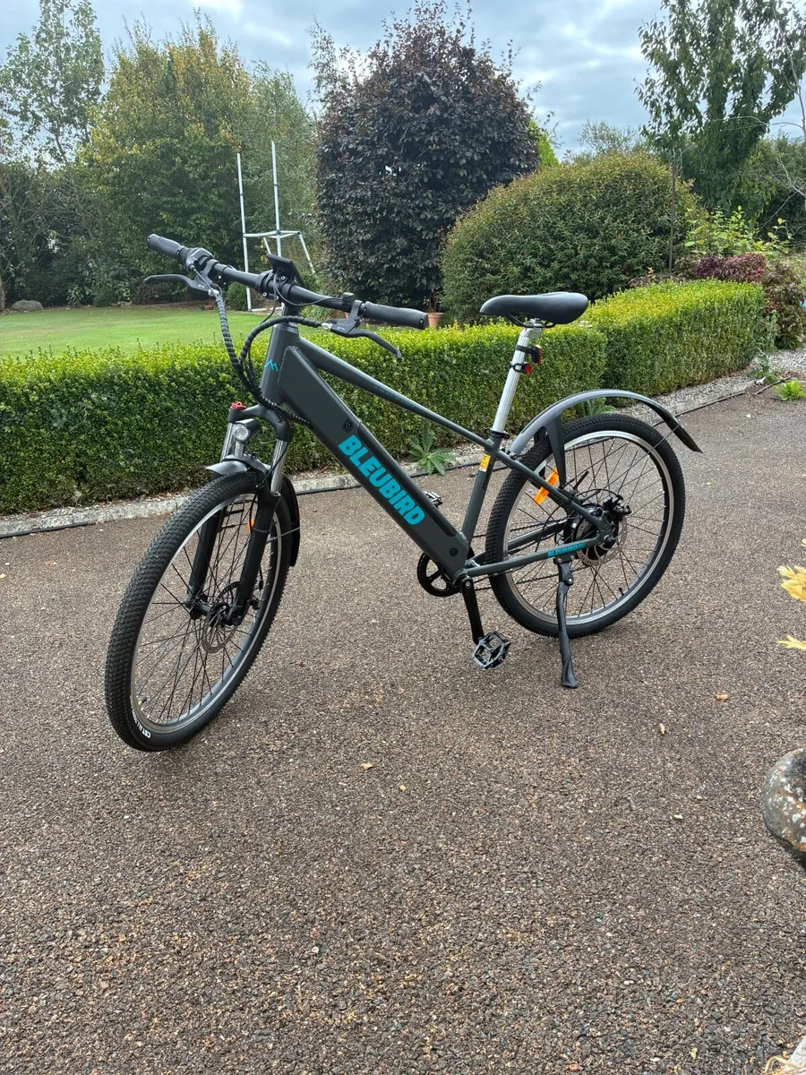 Electric bike - Image 1