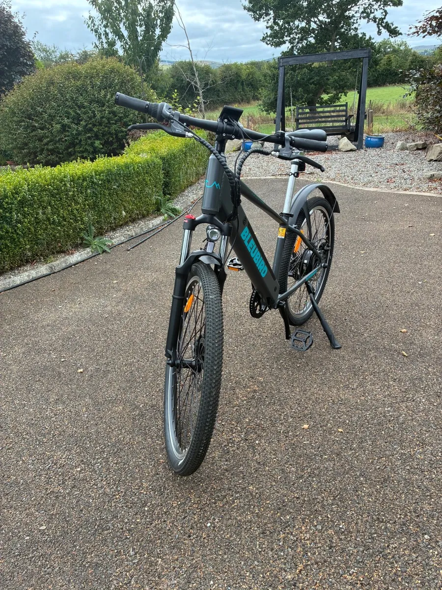Electric bike - Image 3