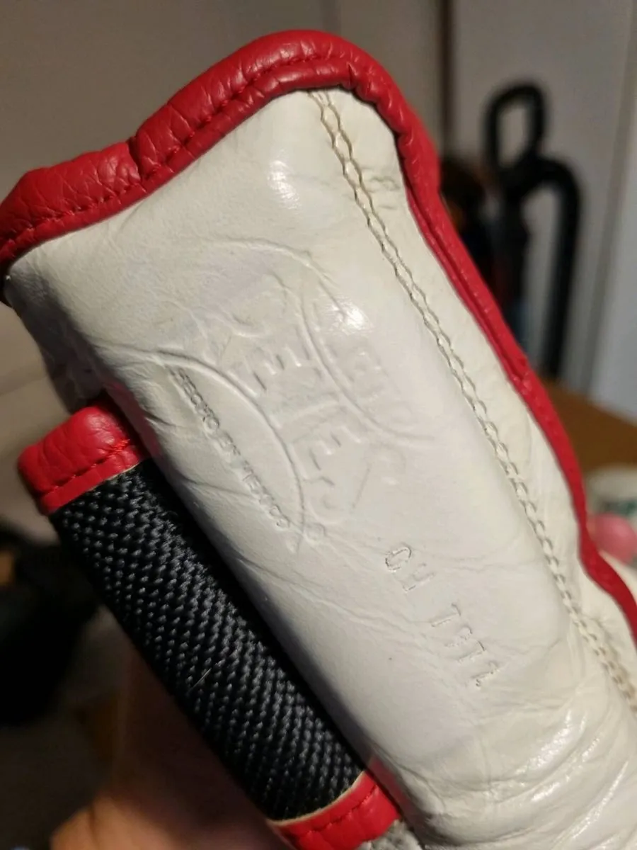 Cleto Reyes boxing gloves - Image 2