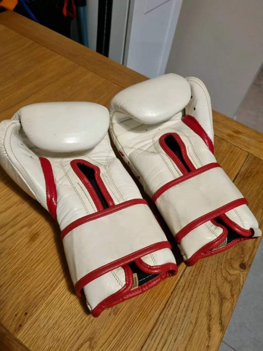Cleto Reyes boxing gloves - Image 3