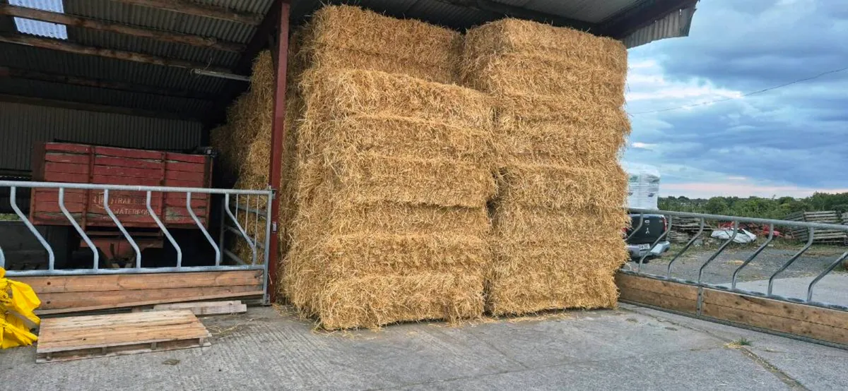 Straw - Image 1