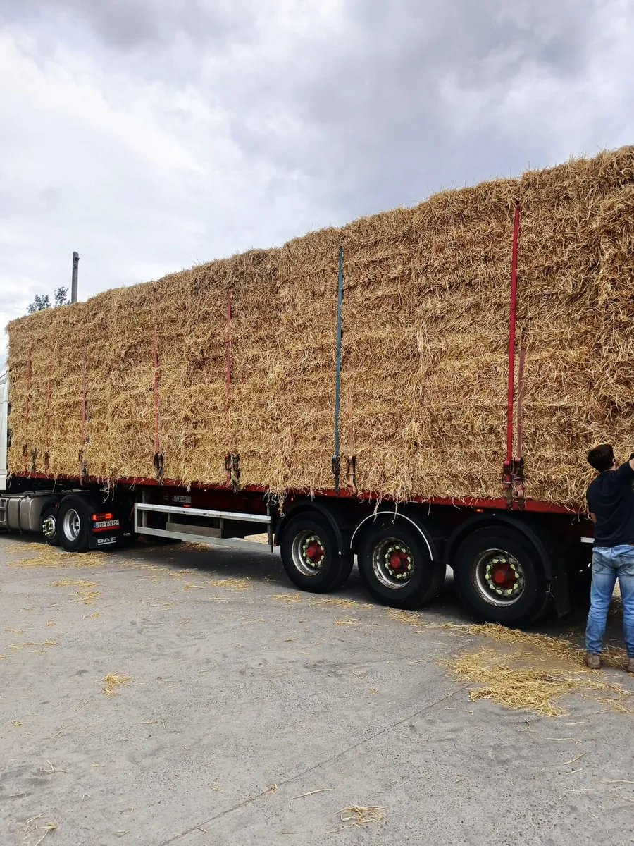 Straw - Image 2