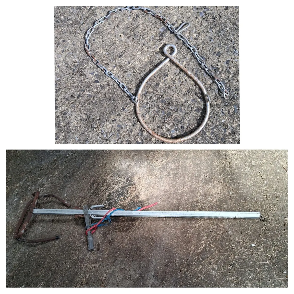 Calving jack and Steel ring training halter - Image 1