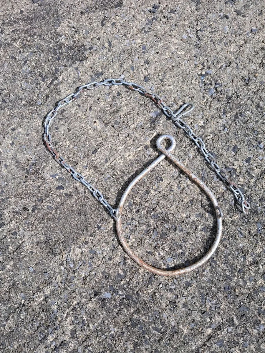 Calving jack and Steel ring training halter - Image 2