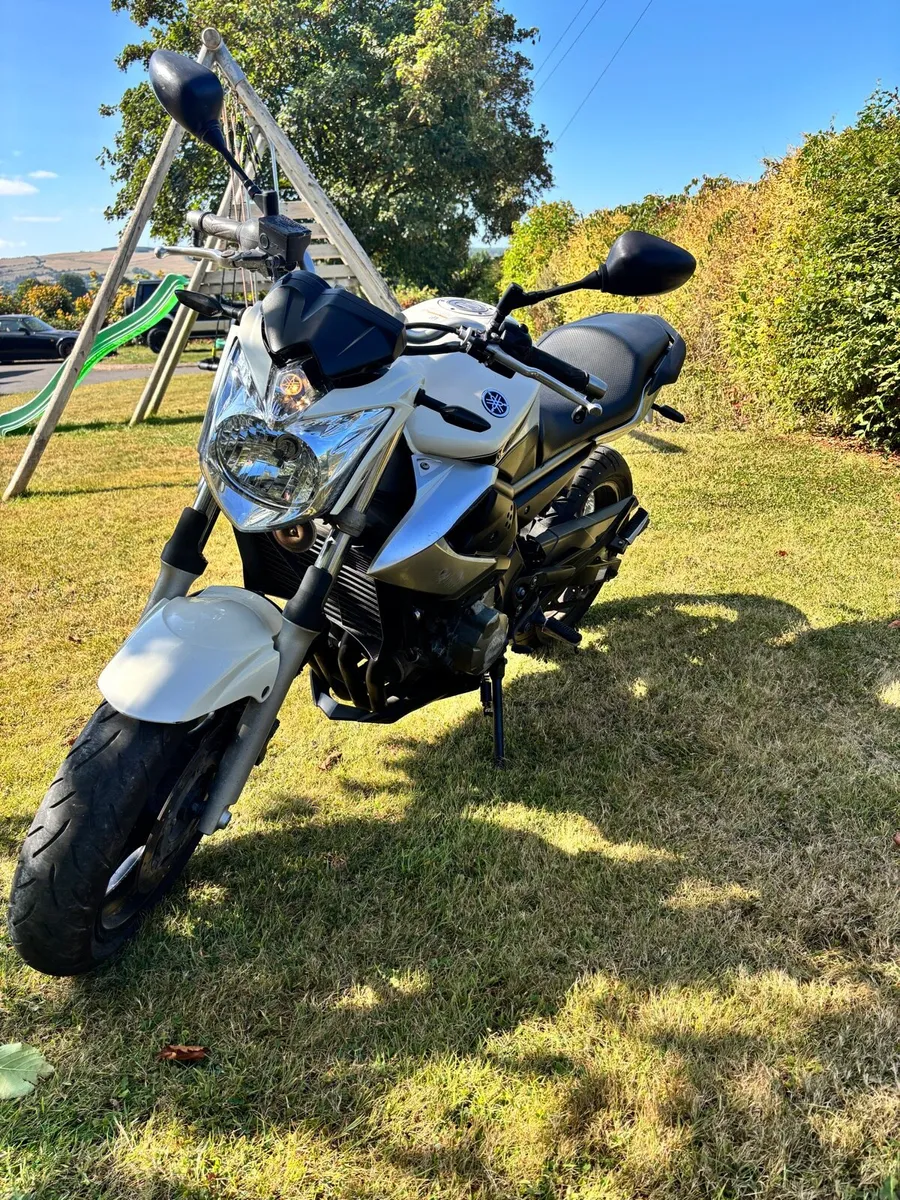 2009 Yamaha XJ6-N 42,456 km - Image 3