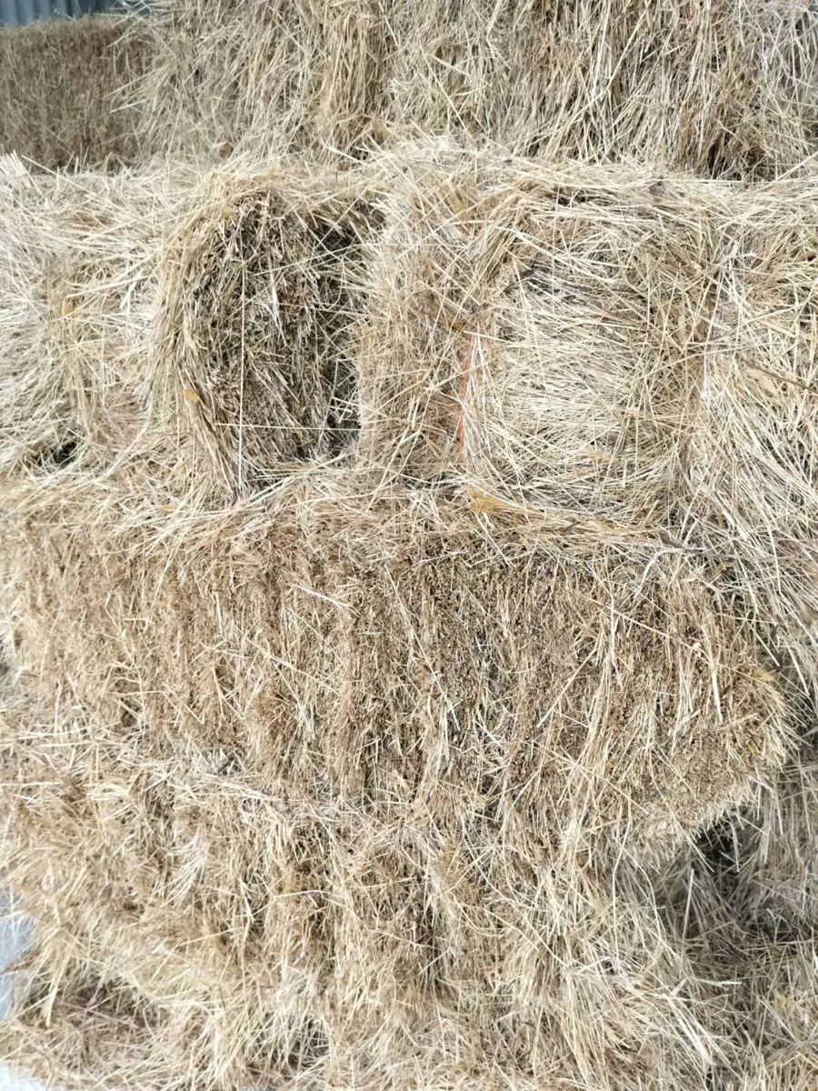 250 square hay bales - Image 4