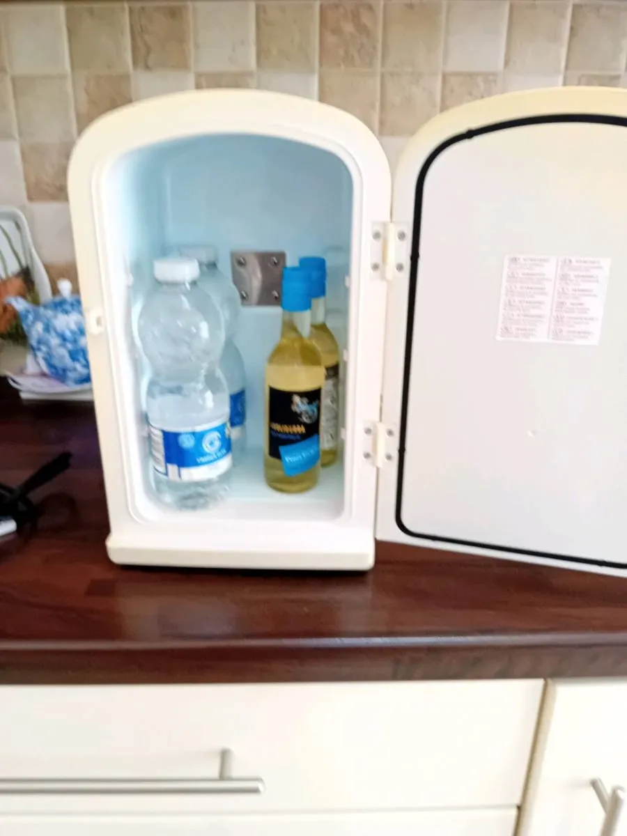 SMALL FRIDGE IN CAR CHARGER ONLY - Image 4