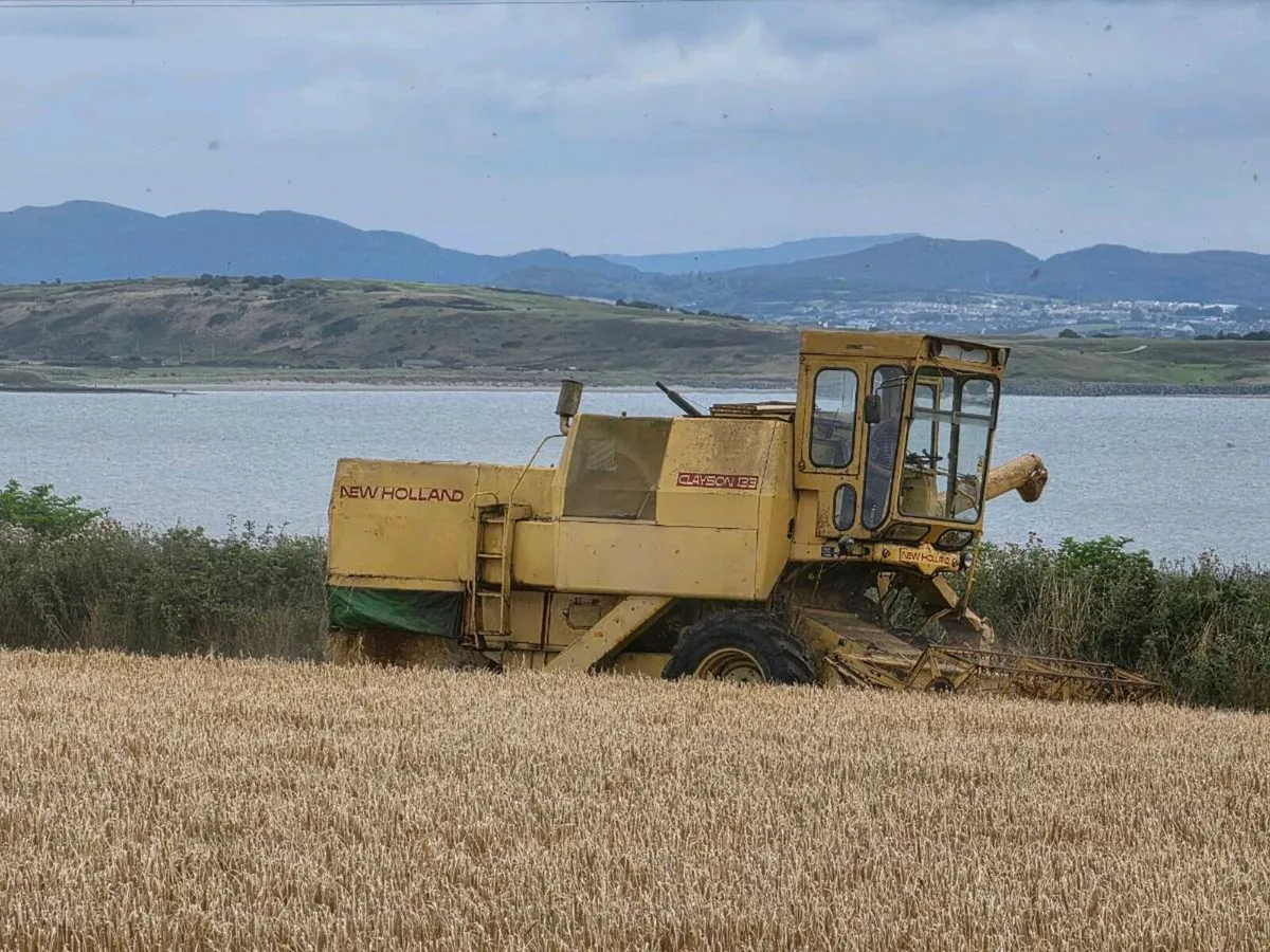 New holland 133 - Image 1