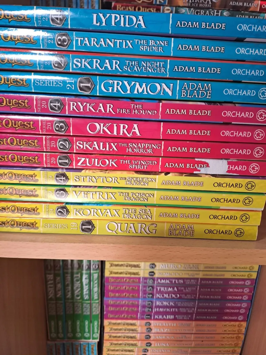 Books - Beast Quest Series 1 to 22 - Image 1