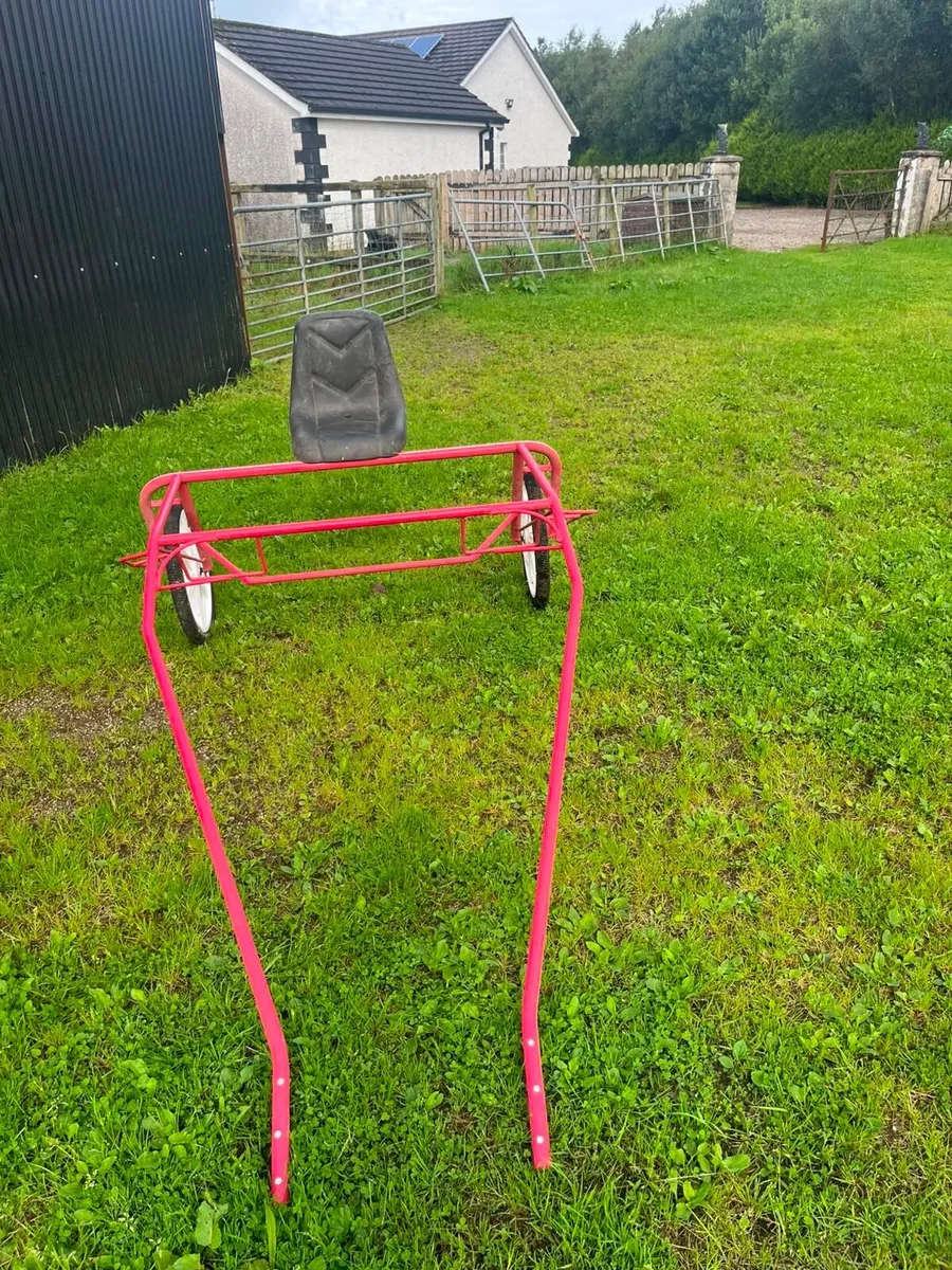 Pony, pony cart , Horsebox - Image 4