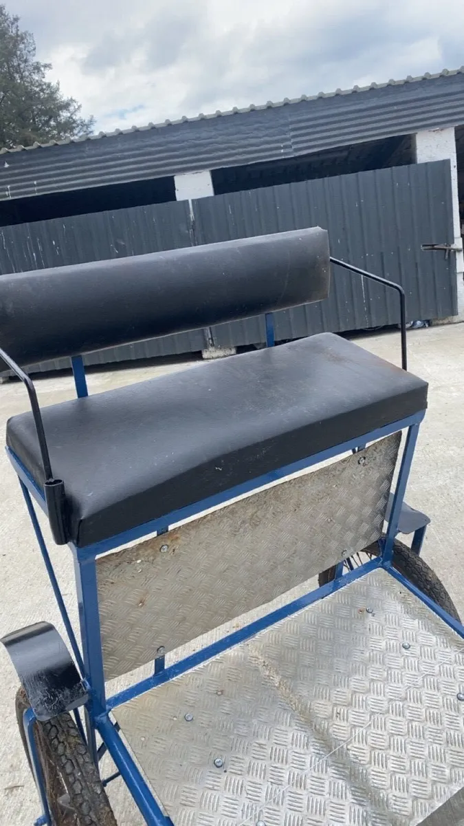 Road cart - Image 2