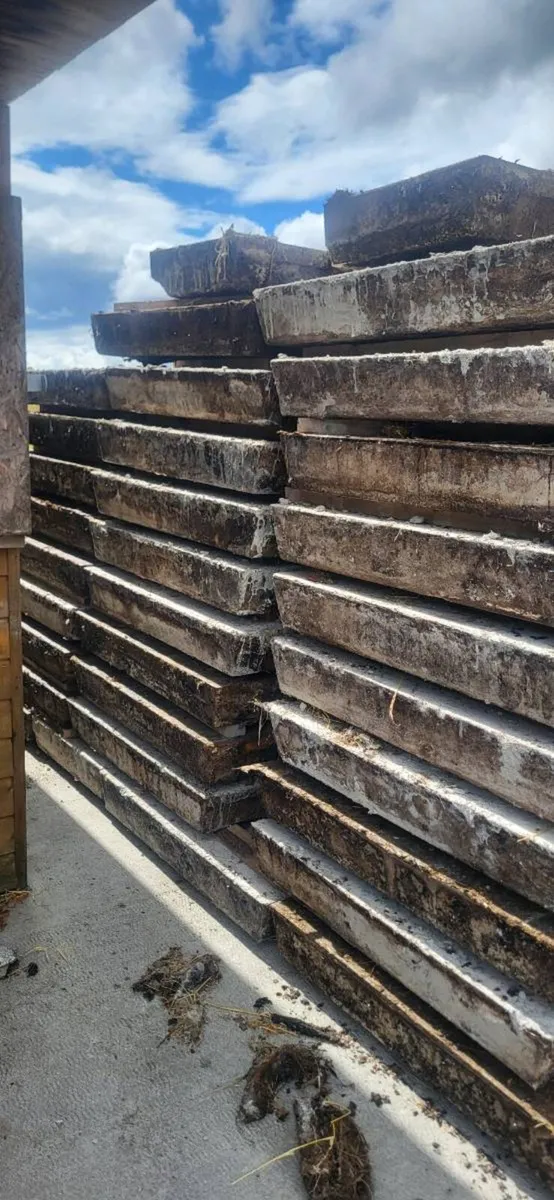 Used cattle slats - Image 4