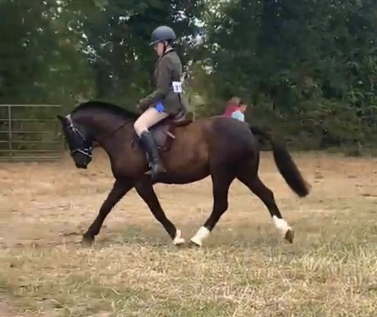 🦄Pippy Short Stockings 14hh superstar🦄 - Image 1