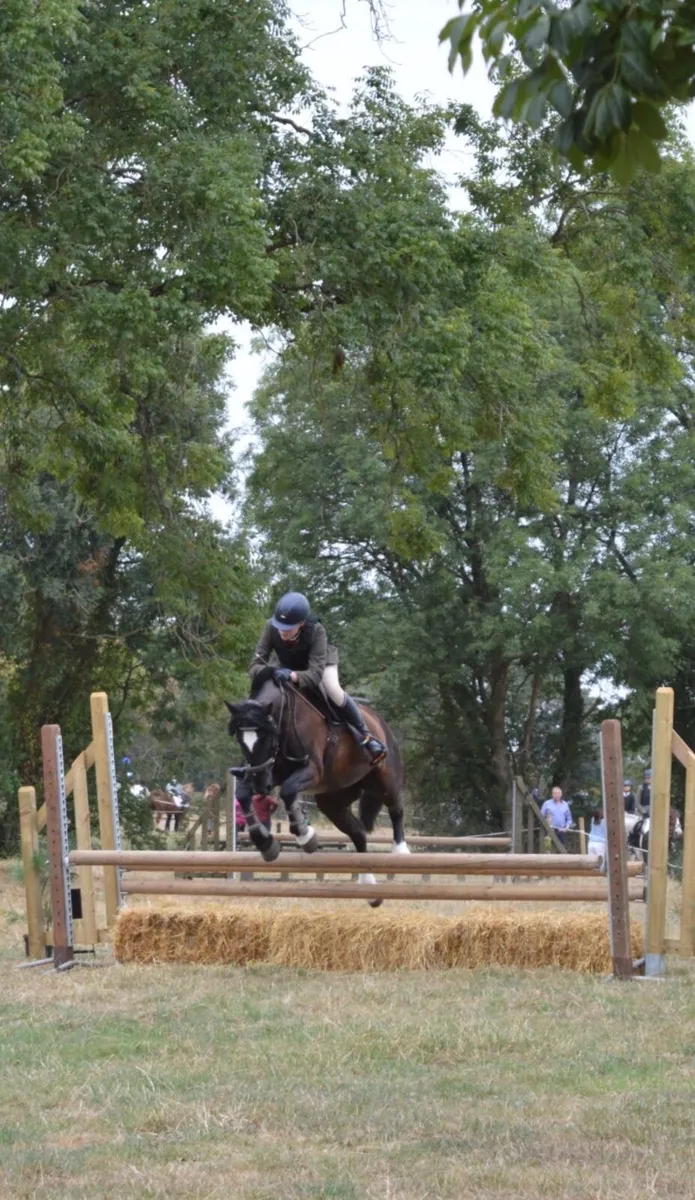 🦄Pippy Short Stockings 14hh superstar🦄 - Image 4