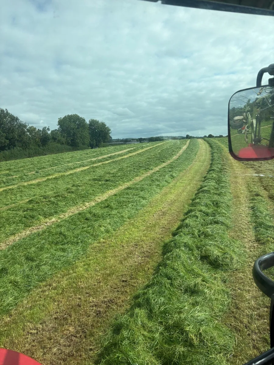 Silage Bales for sale - Image 1