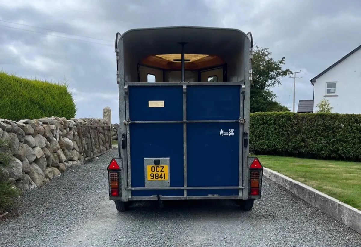 Horse Trailer Ifor Williams 505R 2011 - Image 2