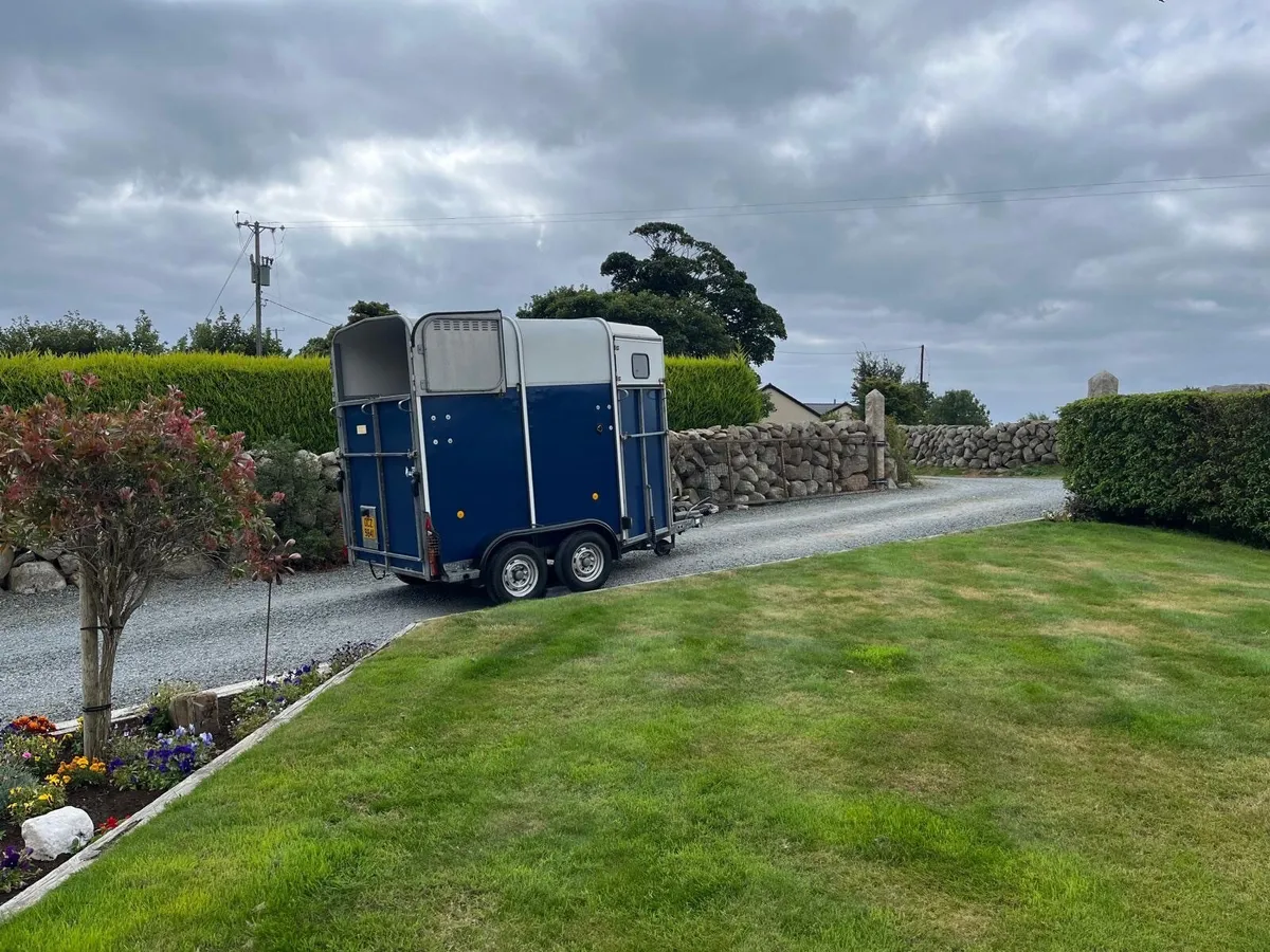Horse Trailer Ifor Williams 505R 2011 - Image 3