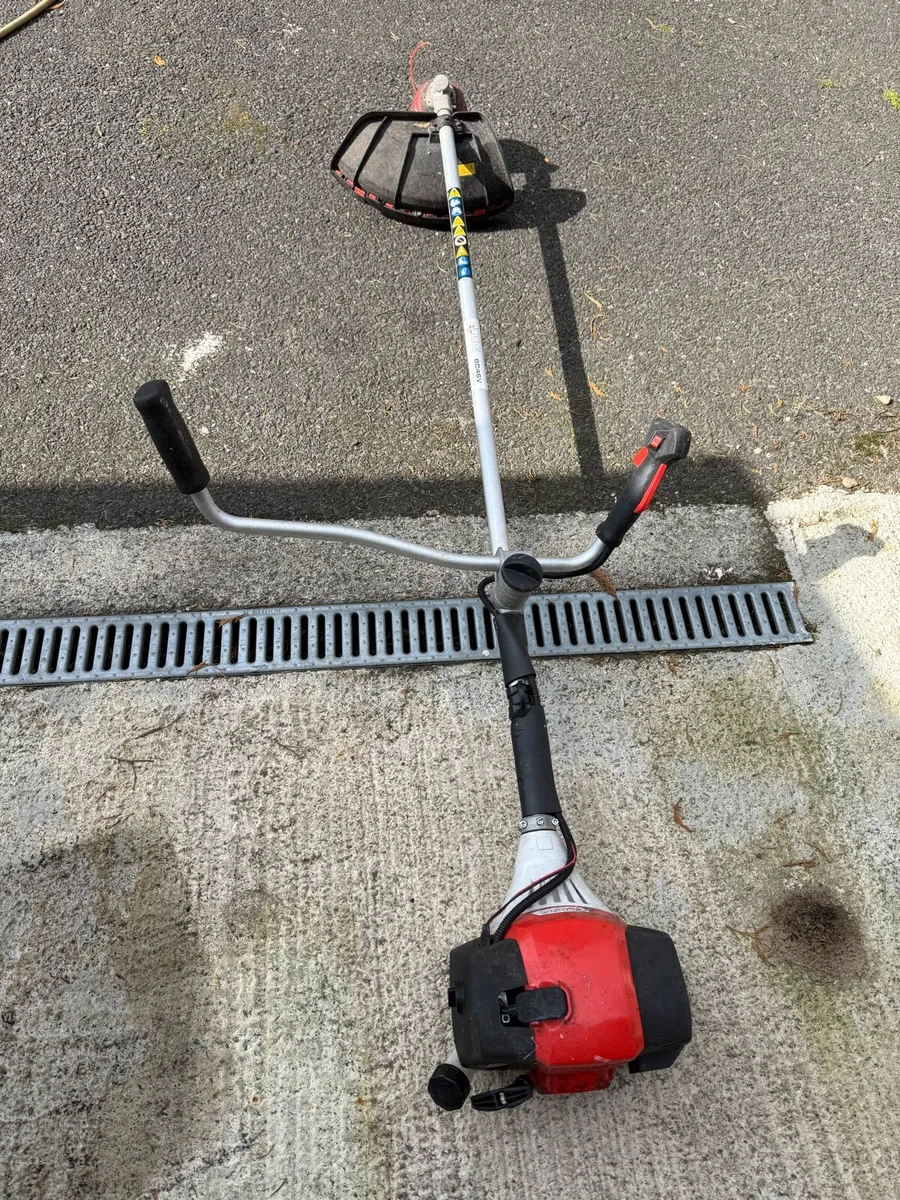 Strimmer - Image 1