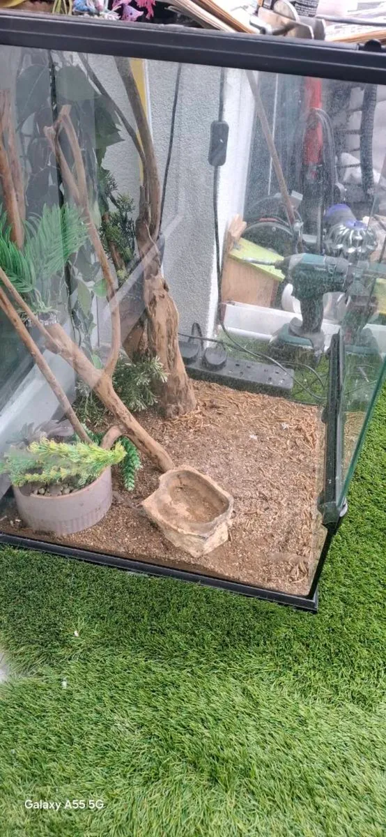Vivarium for reptiles - Image 1