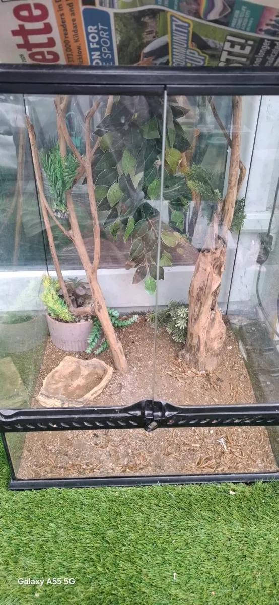 Vivarium for reptiles - Image 2