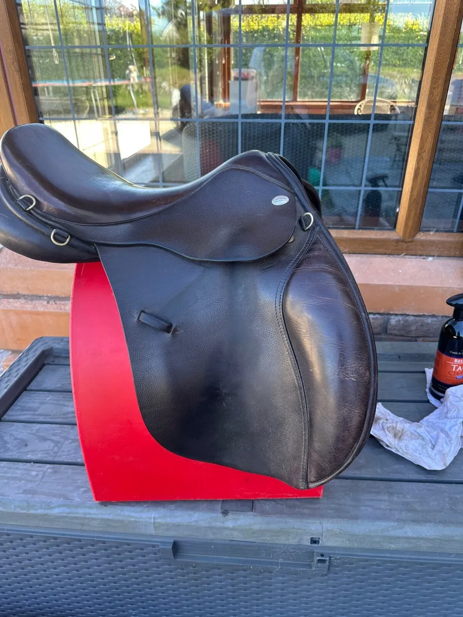 Saddle - Image 1