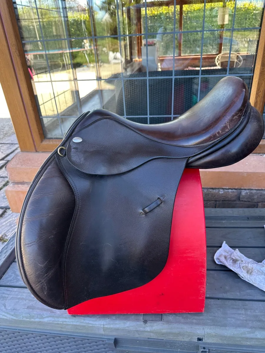 Saddle - Image 2