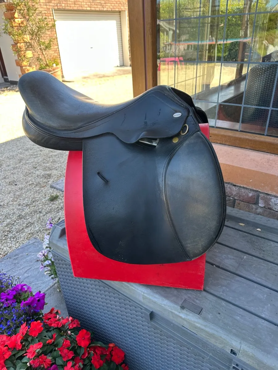 Saddle - Image 2