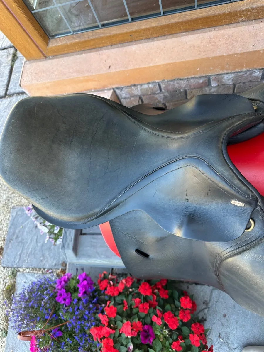 Saddle - Image 3