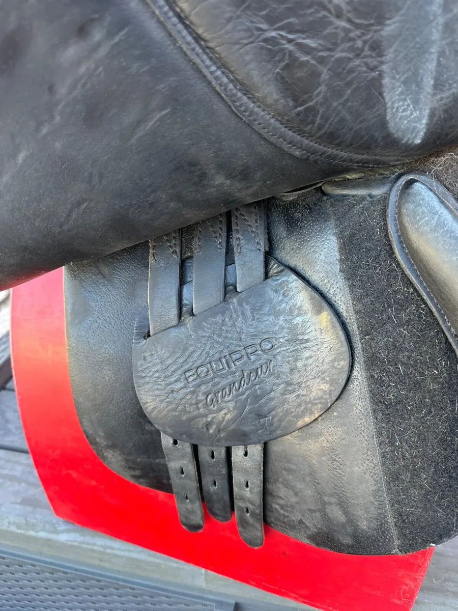 Saddle - Image 4