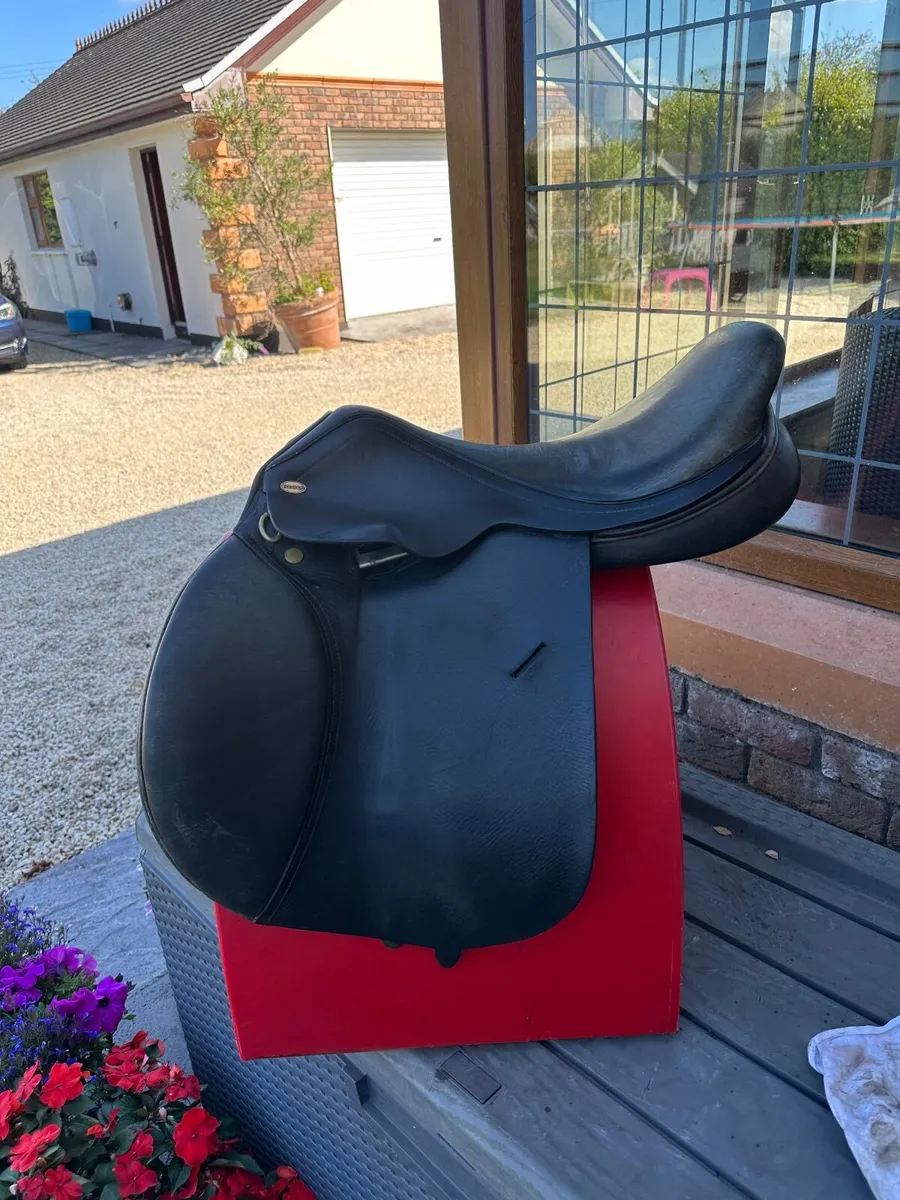 Saddle - Image 1