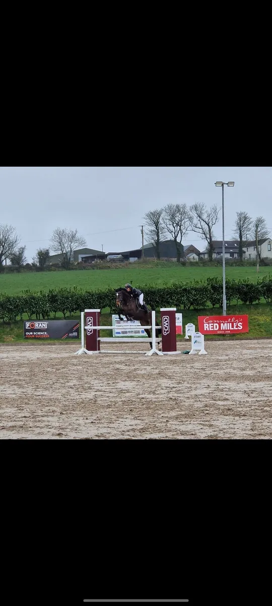 Showjumper - Image 1