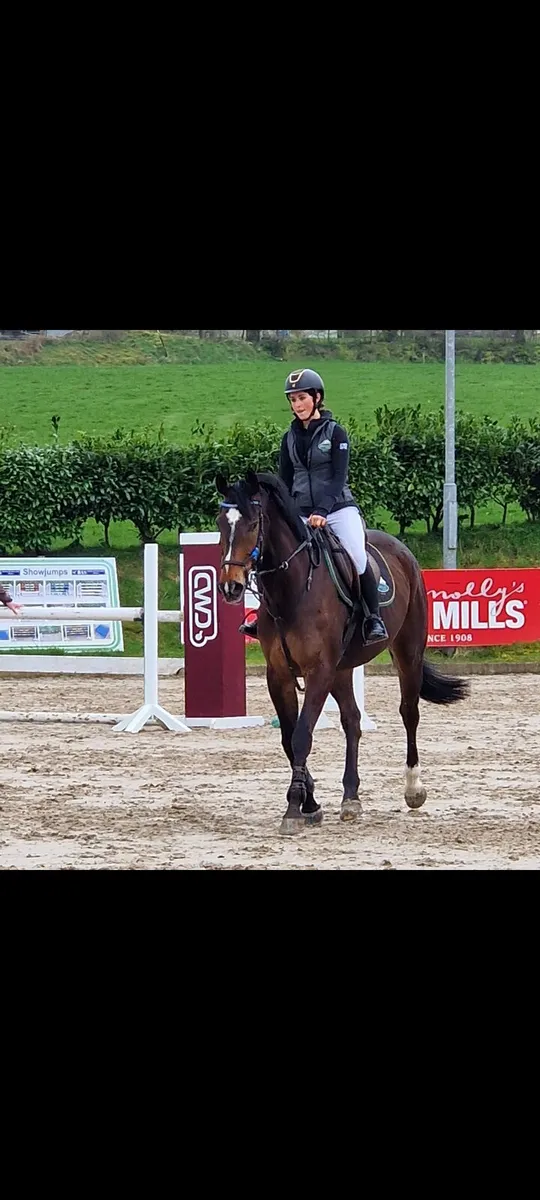 Showjumper - Image 2