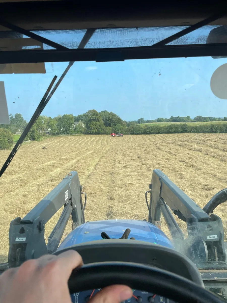 Hay for sale - Image 2